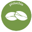 Pistachio